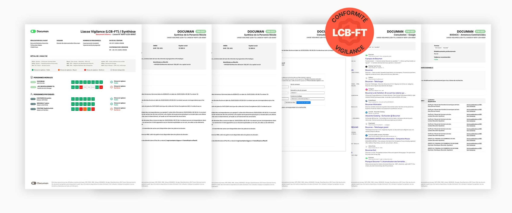 Liasse Vigilance LCB-FT, aperçu du rapport structuré